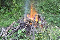 焚き火