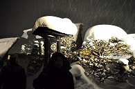 雪
