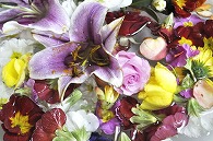 盛り花