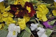 盛り花