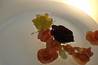 リーガースベゴニア 薔薇