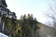 古民家の景色