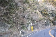 山の道