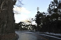 山の道