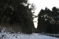 山の道