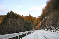雪景色