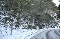 雪景色