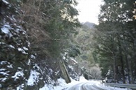 雪景色