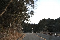雪景色