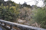 橋