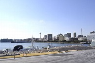 横浜大さん橋
