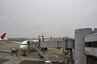 飛行機