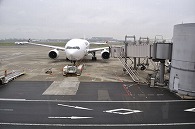 飛行機