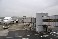 飛行機