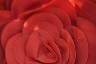 造花(バラ)
