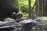 露天風呂