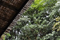 露天風呂