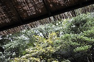 露天風呂