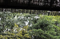 露天風呂
