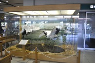 釧路空港