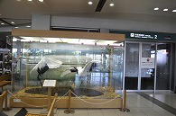 釧路空港