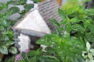 置物(ハウス)