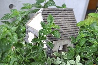 置物(ハウス)