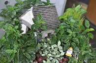 置物(ハウス)
