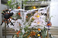 ハロウィン