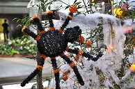 ハロウィン