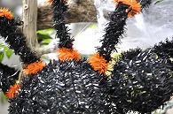 ハロウィン