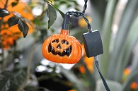 ハロウィン