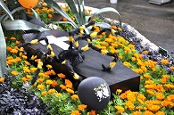 ハロウィン