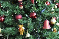 クリスマスツリー