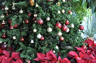 クリスマスツリー