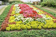 花壇