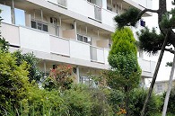 集合住宅