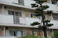 集合住宅