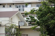 集合住宅