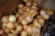 玉ねぎ