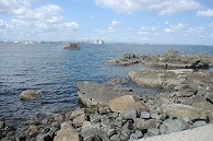 蕪島(青森県)