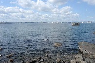 蕪島(青森県)