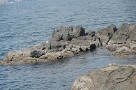 蕪島(青森県)
