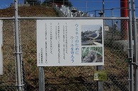 蕪島(青森県)