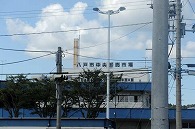 蕪島(青森県)