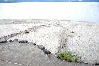 海