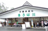 小岩井農場