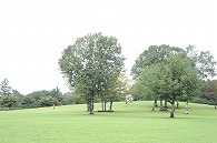 小岩井農場