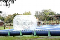小岩井農場