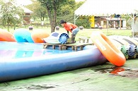 小岩井農場